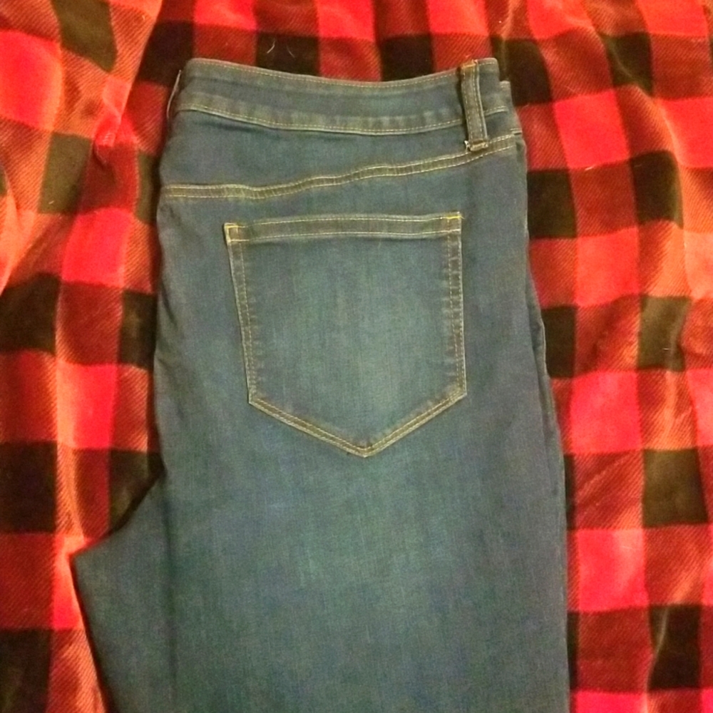 Evri midrise bootcut jeans